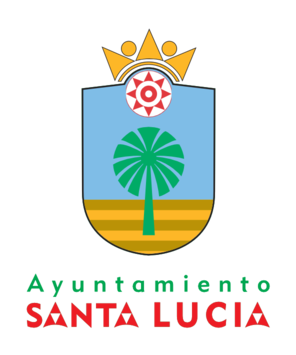 Ayuntamiento de Santa Lucía de Tirajana 